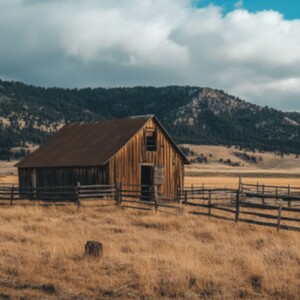 What Is Regenerative Ranching and Farming in Agriculture?