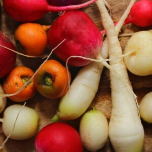 What Are Root Crops? | Meaning, Types & 10 Root Vegetables – Learn about root crops, their meaning, types, and see a list of 10 common root vegetables with pictures.