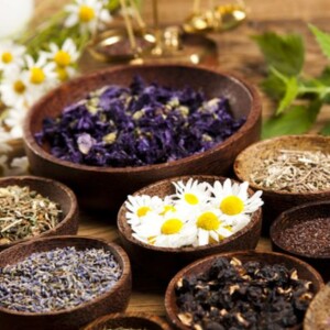 Medicinal Herb Farming | How to Grow the Top 20 Healing Herbs – Learn how to cultivate and care for the most powerful medicinal plants for natural remedies and wellness.