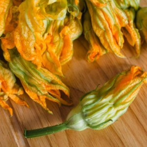 What Are Squash Blossoms? | How to Plant & Grow Zucchini Blossoms – Learn what squash blossoms are and how to successfully plant and grow zucchini squash blossoms in your garden.