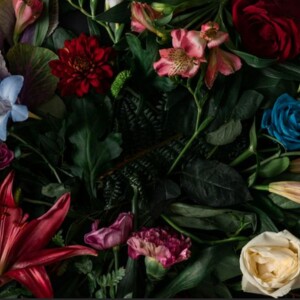 40 Unique Flower Types | List of Names, Meanings & Pictures – Discover 40 stunning flower types, their unique names, symbolic meanings, and beautiful images to inspire your garden.