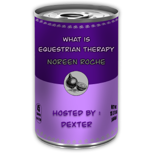 What is Equestrian Therapy with Ms. Noreen Roche | Onion Soup