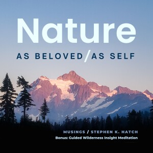 Bonus: Guided Wilderness Insight Meditation