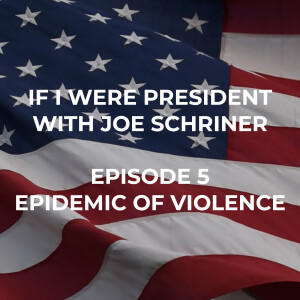 An Epidemic of Violence