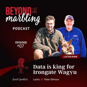 Ep 7. Data is king for Irongate Wagyu