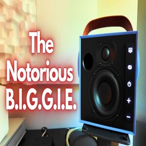 Best Wireless Speakers Series: Morel Biggie