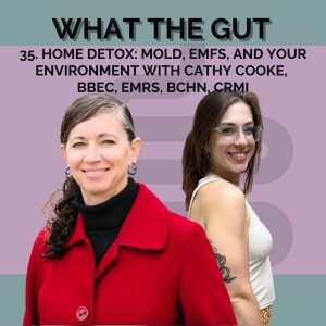 35. Home Detox: Mold, EMFs, and Your Environment with Cathy Cooke, BBEC, EMRS, BCHN, CRMI