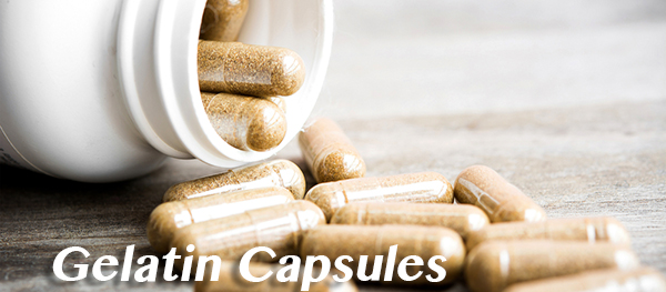 Buy Gelatin Capsules in India