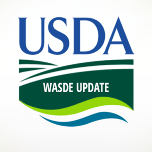 June WASDE: A few surprises from USDA