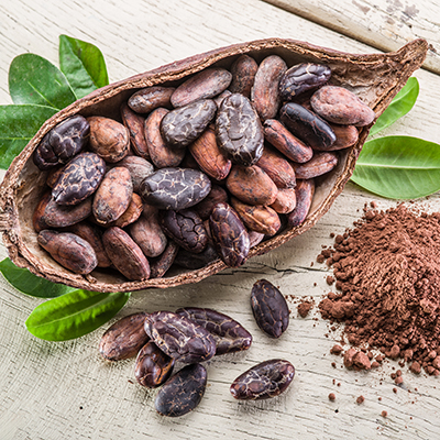 Cocoa update: Grinds, arrivals, & more!