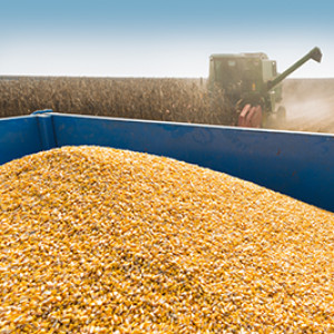 Corn yield projection & WASDE estimates