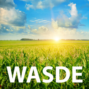 June WASDE rundown + sugar negotiations update