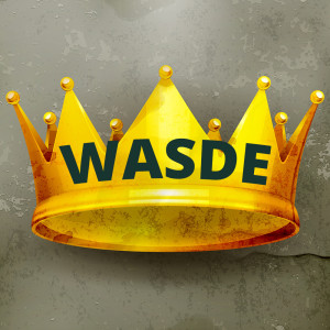 August WASDE: King-sized wrap up