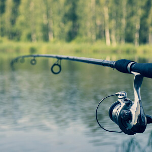 Fishing for answers in the latest data on consumer inflation, tariffs, & the economy