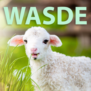 March WASDE: In like the lamb, not the lion