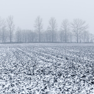 Brrrr! It’s cold out there! Polar vortex hits the U.S.