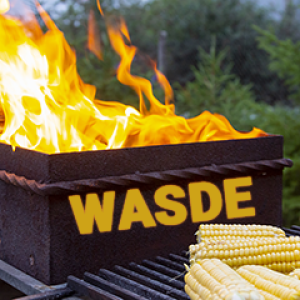 July WASDE hot off the grill!