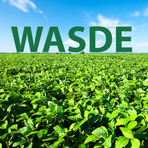 July WASDE: Big buyers, consumption assumptions, & the effects of the BBB