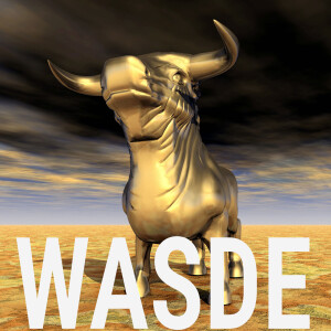 The November USDA WASDE bullish award goes to...