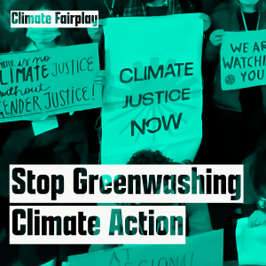 Stop Greenwashing Climate Action