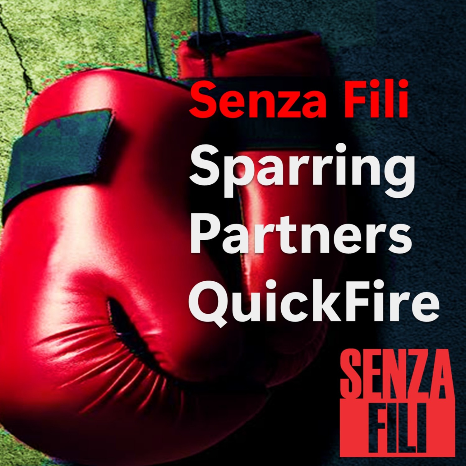 Senza Fili Sparring Partners