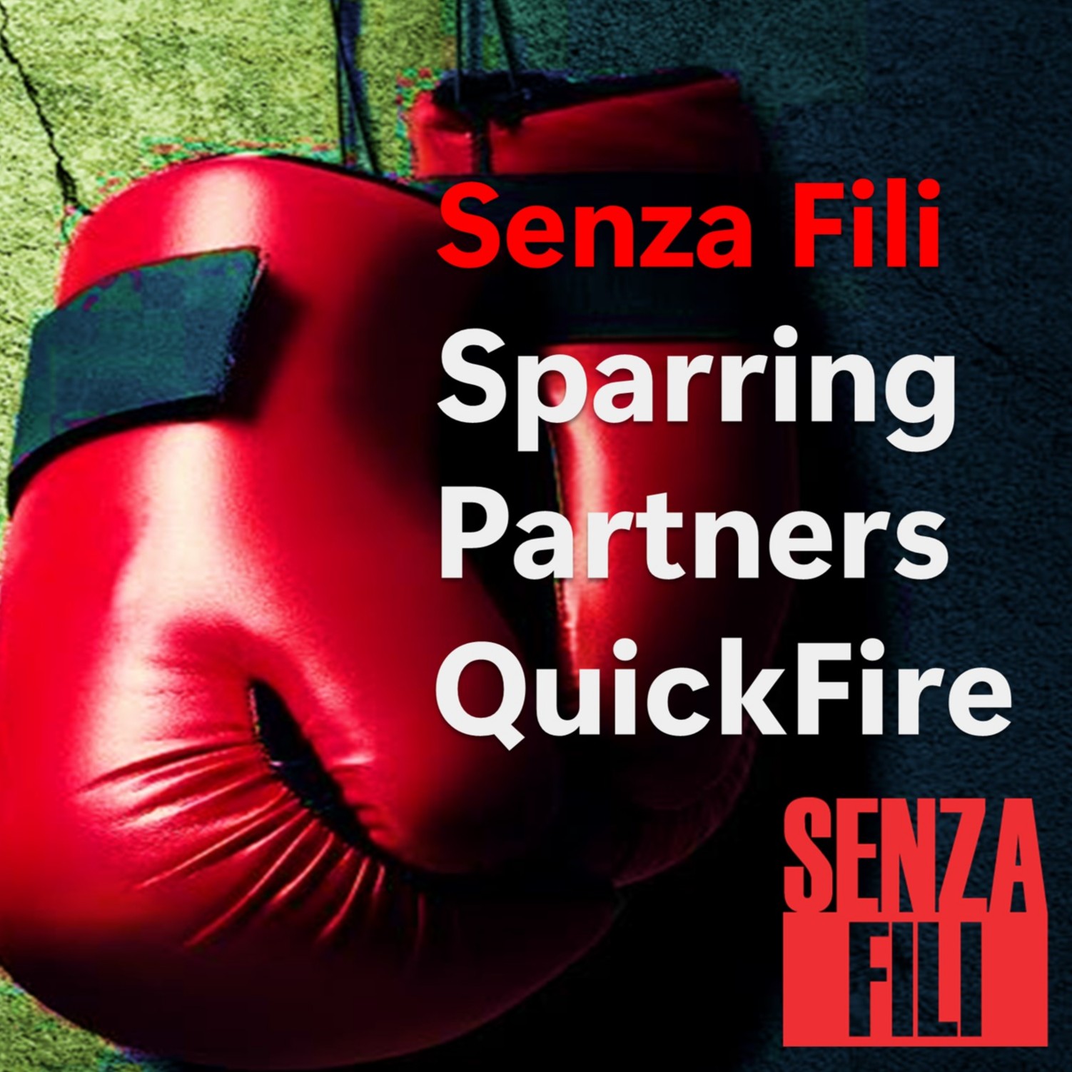 Senza Fili Sparring Partners