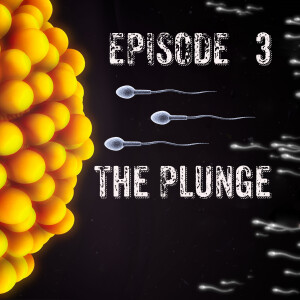 Episode 3 The Plunge