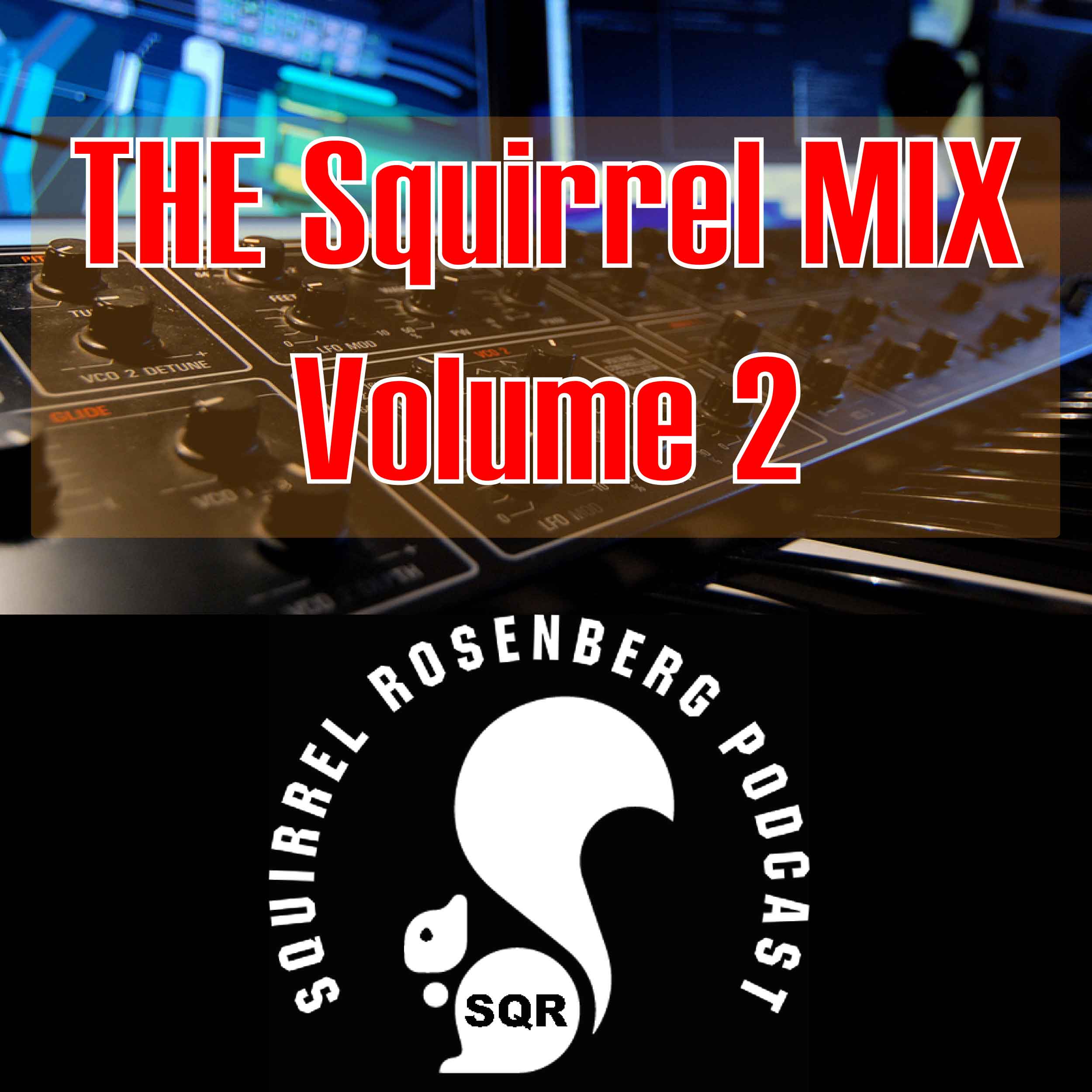 The Squirrel Mix Volume: 2 DJ Marlon B On The Turntables