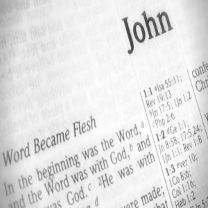 Jesus challenge to the disciples John 16:16-33