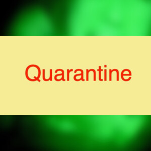 Quarantine