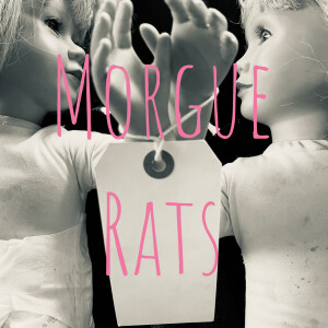 Episode 12: Revenge Is Sweet And Not Fattening