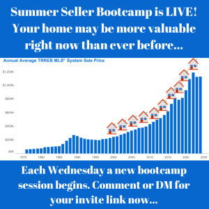 Summer Seller Bootcamp 2024