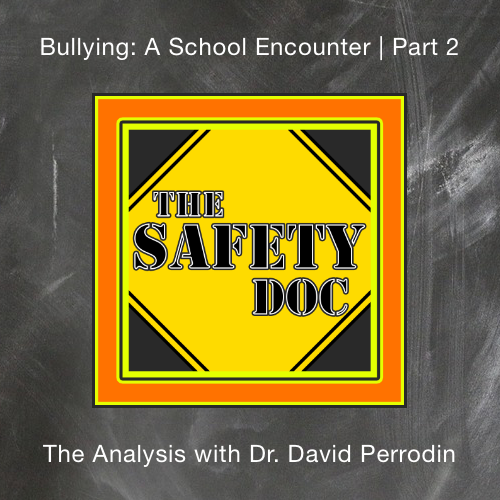 [17] Bullying: A School Encounter | Part 2 The Analysis with Dr. David Perrodin