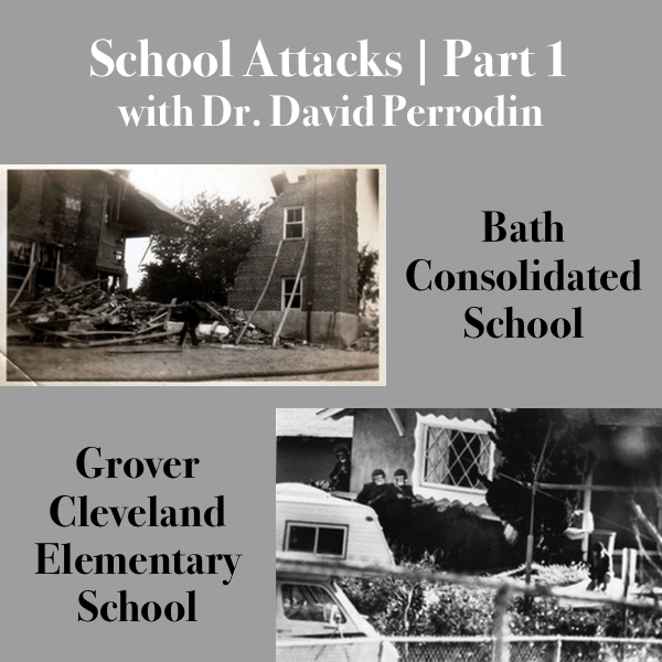 [10] School Attacks | Part 1 with Dr. David Perrodin