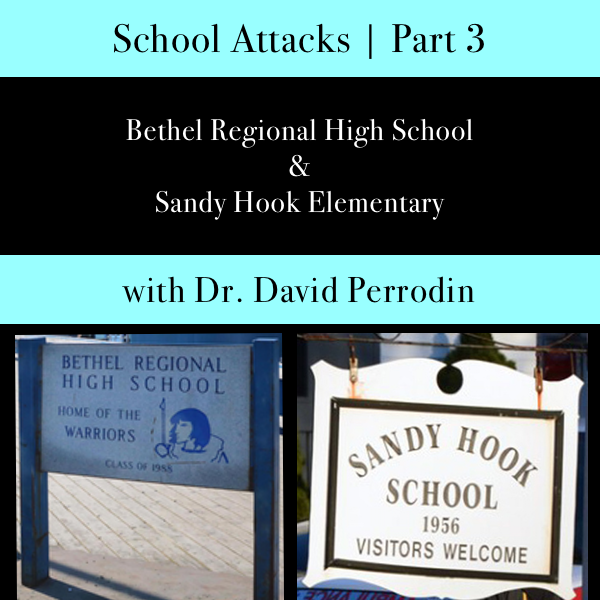 [12] School Attacks | Part 3 with Dr. David Perrodin