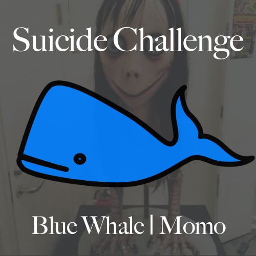 [21] Suicide Challenge: Blue Whale | Momo