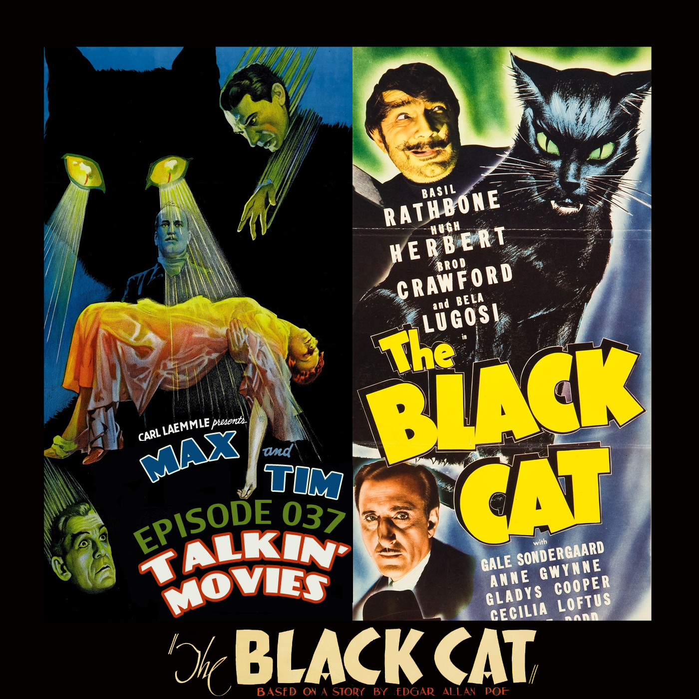 037 - The Black Cat