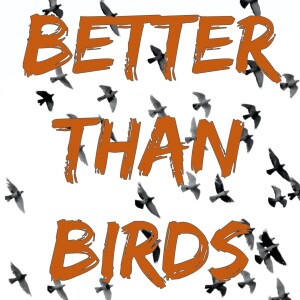 Better than Birds