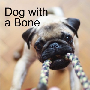 Dog with a Bone