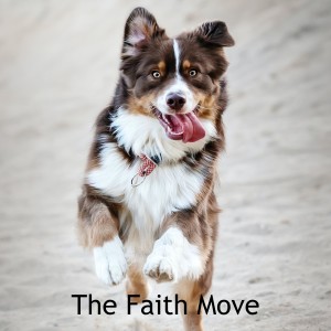 The Faith Move