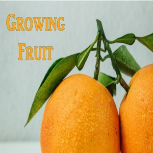 Growing Fruit