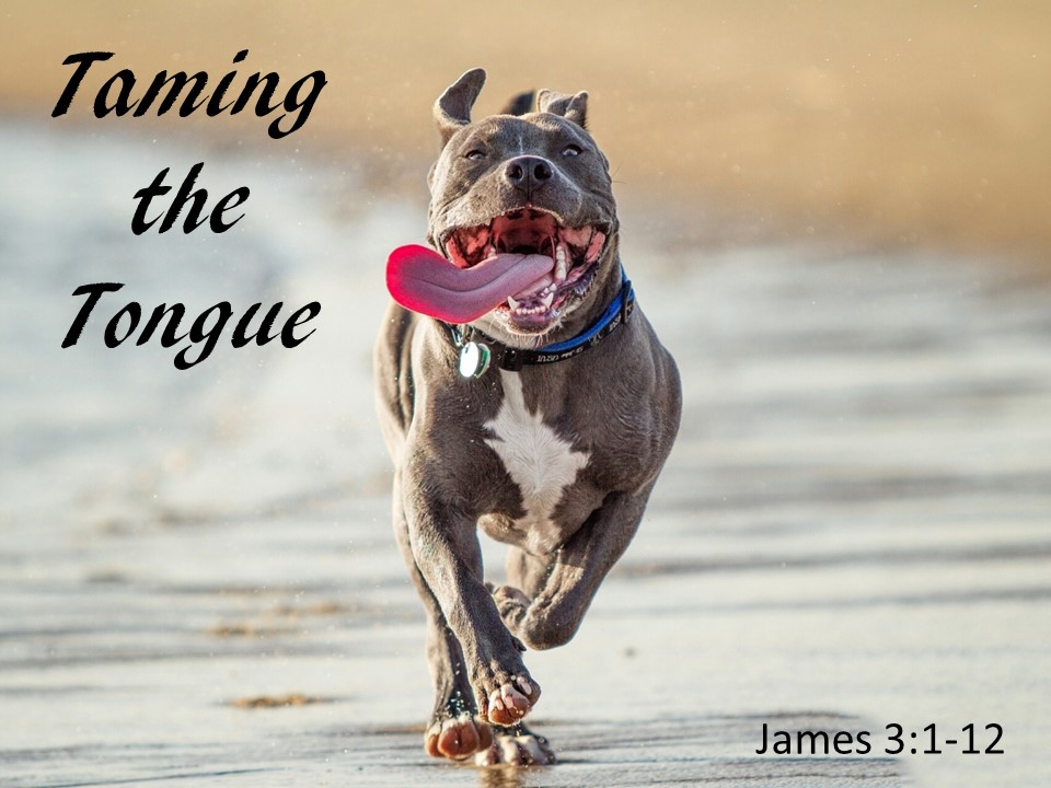 Taming the Tongue