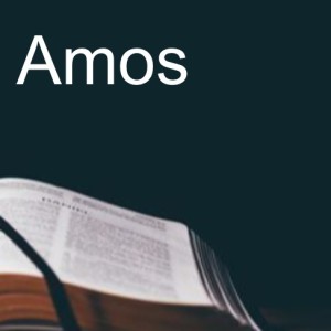 The Book of Amos