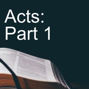 Acts: Part 1