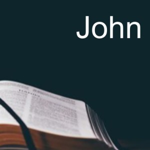 Book of John