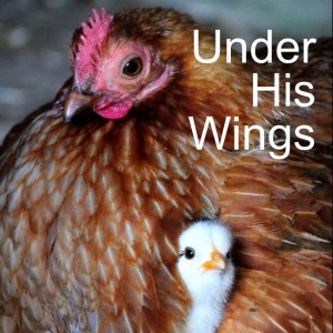 Under His Wings