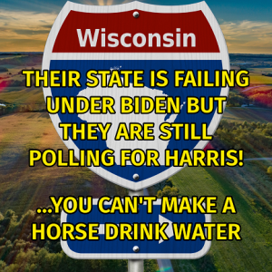 Wisconsin - You can't fix stupid!