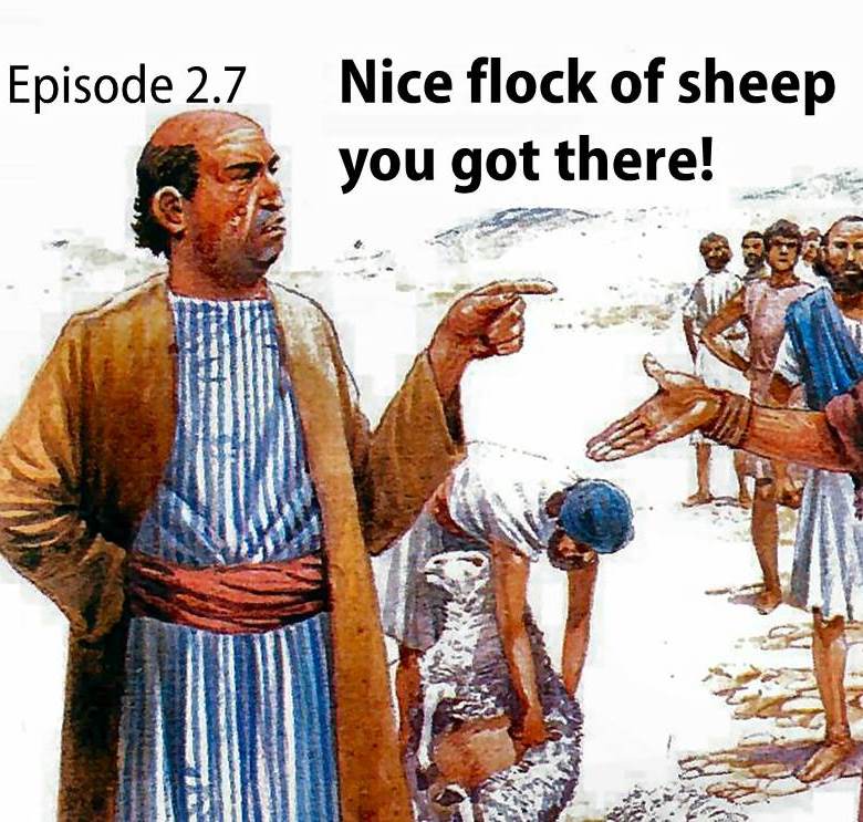 2.7 Nice Flock of Sheep you got there.