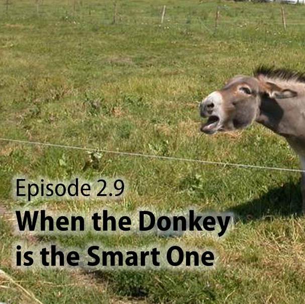 2.9 When the Donkey is the Smart One