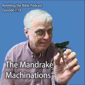 7.18 The Mandrake Machinations
